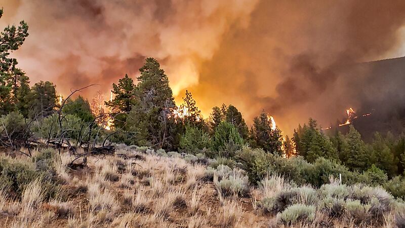 This photo provided by the Oregon Department of Forestry shows active fire along a ridge at...