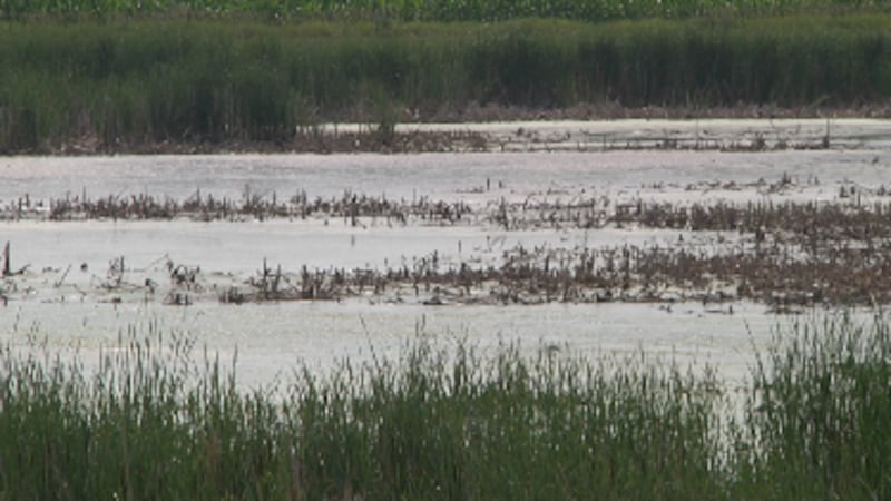 Drought emergency declared in Washington state